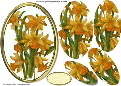 Lovely Pyramid Daffodils in a Gold Frame 