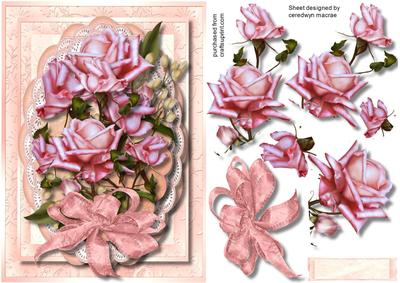 Beautiful Pink Roses in a Double Lace Frill