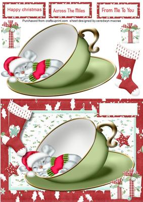 Little Mouse Fallen Asleep Waiting for Santa