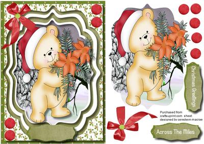 Lovely Little Poinsettia Bear