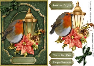 Lovely Robin on the Lampost 