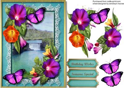 Morning Glory at the Waterfall