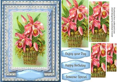 Beautiful Orchids in a Basket 