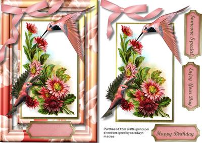 Beautiful Humming Birds on Chrysanthemums