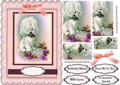 Beautiful Pooch Needing a Hair Cut 