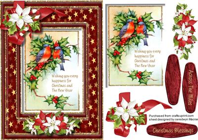 Lovely Christmas Birds and Holly with Greetings 