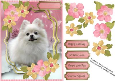 Lovely Pomeranian Dog in the Flowers