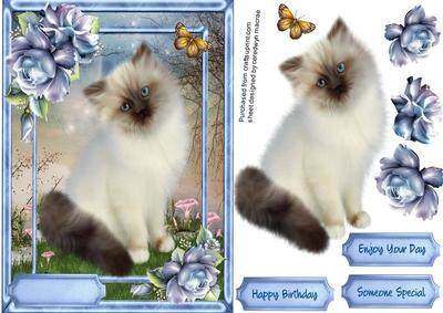 Beautiful Persian Cat and Blue Roses 