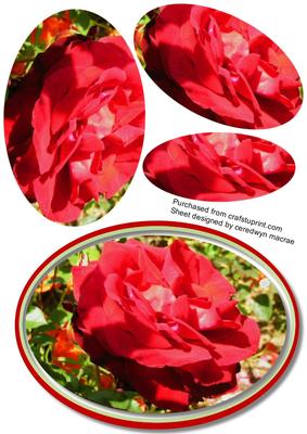 Beautiful Pyramid Red Rose Topper 