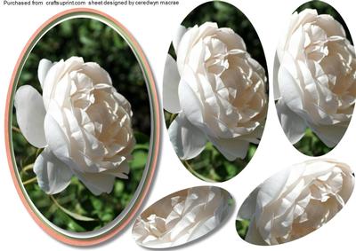 Beautiful Pyramid White Rose Topper