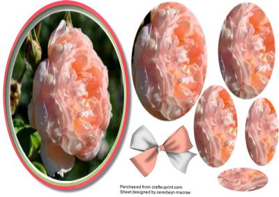 Beautiful Pyramid Peach Rose Topper 