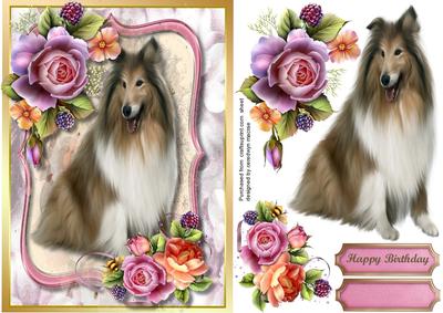 Beautiful Rough Collie and Rose 