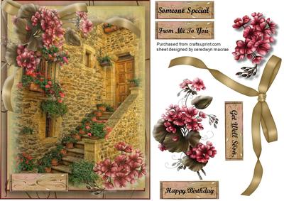 Beautiful Tuscanny Scene Anf Geranium's