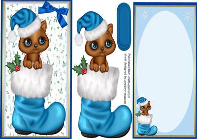 D.l Kitty in a Blue Santa Boot with Incert