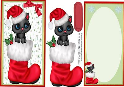 D.l Little Kitty in a Red Santa Booy with Incert