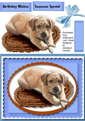 Beautiful Labradore Pup with His Brush