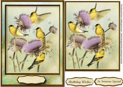 Beautiful Birds on the Thistles 