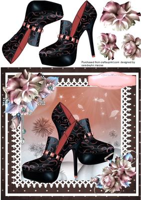 Lovely Ladies Shoes on Lace 