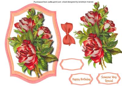 Red Roses in a Peach and Pink Frame 