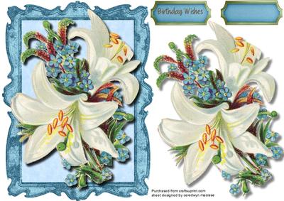 Beautiful Lillys and Forgetmenots
