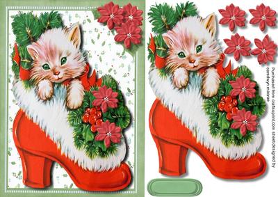 Lovely Little Kitty in a Slipper 