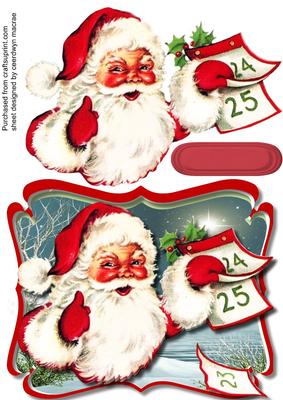 Lovely Shaped Santa Topper 