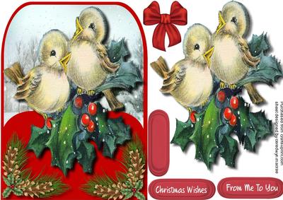 Lovely Shaped Card with Christmas Birds 