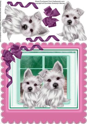 Two Lovely Westies in the Window 