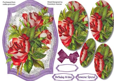 Beautiful Roses in a Lilac Ornate Frame 