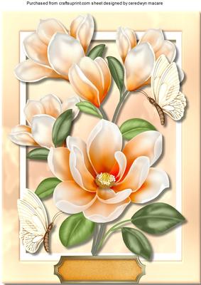 A4 Beautiful Apricot Magnolias and Butterflys