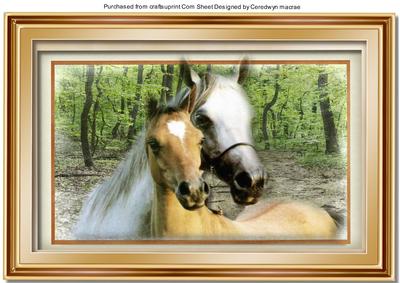 A4 Stunning Horses at the Fence 