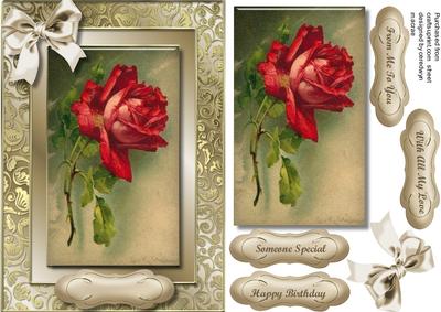 Beautiful Rose in a Gilded Frame 
