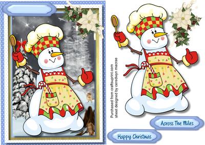 Mr Snowman the Christmas Cook 