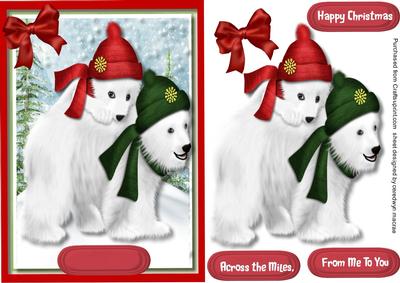 Lovely Pola Bears in the Snow 