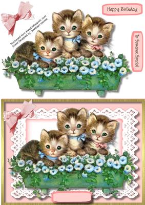 Lovely Trio of Kittens 