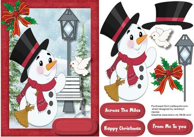 The Snowman and the Little Bird