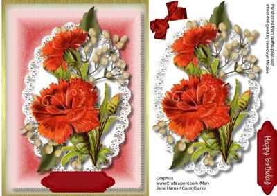 Beautiful Red Carnations and Babys Breath