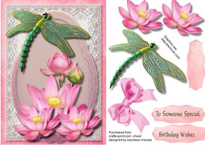 Beautiful Dragonfly and Lotus Flowers 