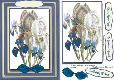 Lovely Irises on a Blue Frame 