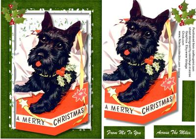 Lovely Scottie in a Christmas Box 