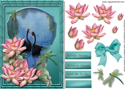 Lovely Lotus Flowers and Black Swans .
