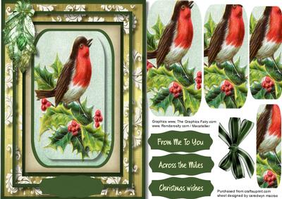 Lovely Christmas Robin in Pyramid 