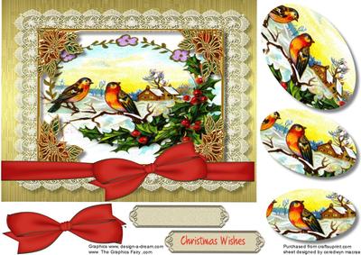 Beautiful Robins in a Winters Scene 