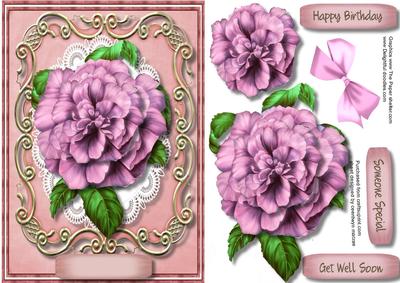 Lovely Crushed Pink Camellia in a Ornate Scroll