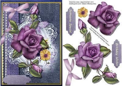 Beautiful Lilac Roses on Book Cover 