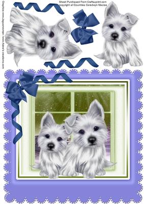 Lovely Westies at the Window