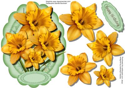 Beautiful Dafodills the Pride of Wales 