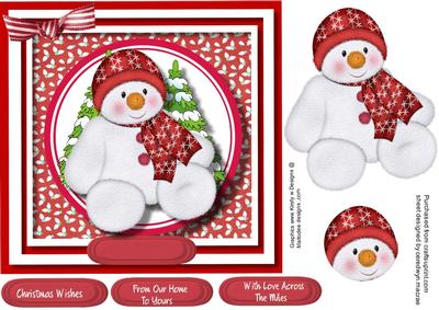 Lovely Snowman Teddy .