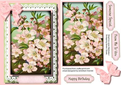 Beautiful Apple Blossom in Spring