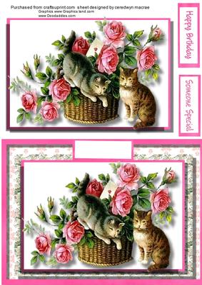 Lovely Cats Among the Roses 